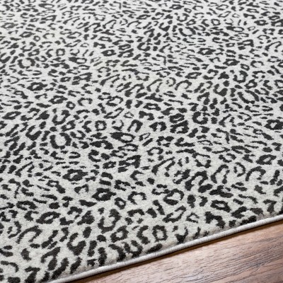 Hauteloom Rectangle Area Rug   Arctic Stone