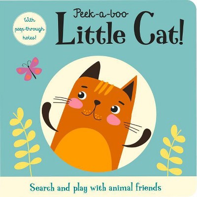 Peek-A-Boo Little Cat! - (Touch and Trace) by  Susie Linn (Hardcover)