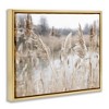 Stupell Industries Rural Pampas Grass Reeds Lakeside Pond Marsh Floating Frame Canvas Art - 2 of 4