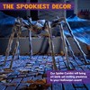 Joyfy 5 Ft Halloween Giant Spider Outdoor Decorations Scary Hairy Spider, Spider for Yard Patio Lawn Garden Window Creepy Halloween Decor - 2 of 4