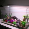 Unique Bargains Aquarium Plastic Plants for Fish Tank Landscape Decoration 1.97" 20 Pcs - 2 of 4
