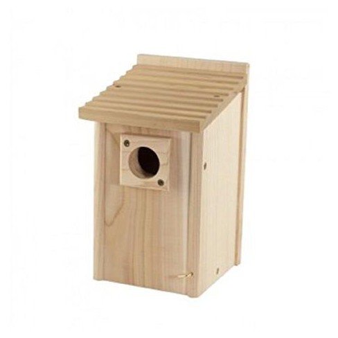 Audubon 12 In. H X 6.4 In. W X 6.4 In. L Red Cedar Bird House : Target