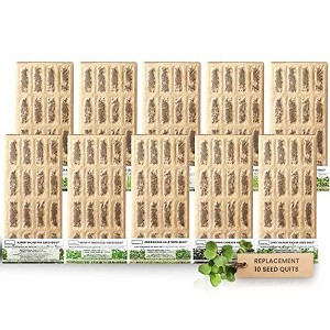 Hamama Seed Quilt Sampler, Pack of 10 - Grow Fresh Microgreens Indoors Every Week, Just Add Water - 1 of 4
