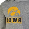 NCAA Iowa Hawkeyes Boys' Gray Hoodie - 3 of 3