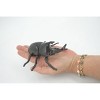 Collectible Wildlife Gifts | Beetle, Rhinoceros, Horned Stag Beetle, Dynastinae, Rubber Insect, Toy,  Realistic  Model, Gift,   5"   ABC17 B263 - 4 of 4