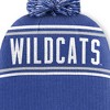 NCAA Kentucky Wildcats Cuffed Knit Pom Beanie - 4 of 4