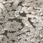 cream/beige/dark gray