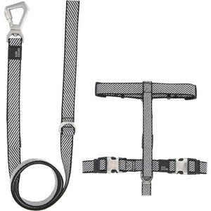 Pet Life 'Escapade' Outdoor Series 2-in-1 Convertible Dog Leash and Collar - 1 of 3