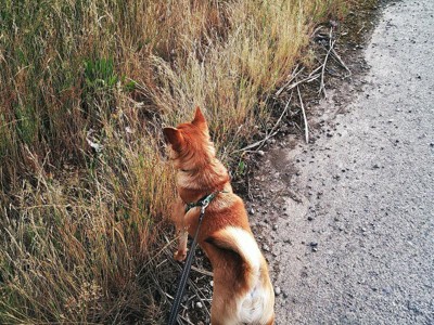 Guest review image 2 of 3, zoom in