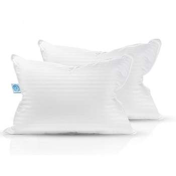 East Coast Bedding Balanced Dream 50/50 Goose Feather Down Pillow Set of 2