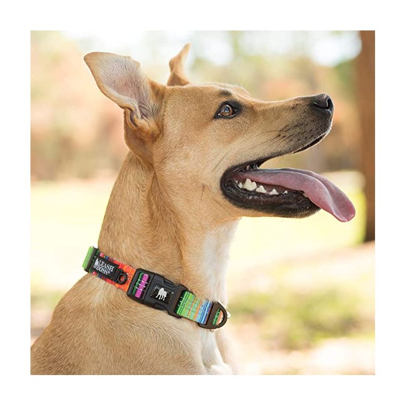 Leashboss Patterned Reflective Dog Collar, 4 of 6