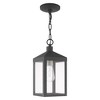 Livex Lighting Nyack 1 - Light Pendant in  Scandinavian Gray - 2 of 4