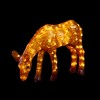 Northlight LED Lighted Commercial Grade Acrylic Reindeer Outdoor Christmas Decoration - 22" - Warm White Lights - 2 of 4