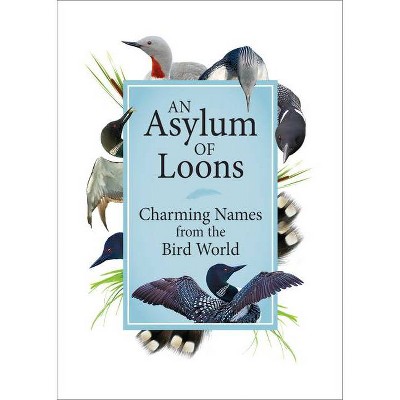 An Asylum of Loons - (Hardcover)