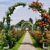 Artloge 7.9Ft Metal Garden Arch Trellis,Garden Arbor Trellis for Climbing Plants Roses Vines,Flower Arch Wedding Arch Stand for Lawn,White - 4 of 4