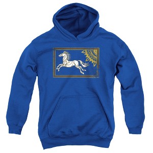 Boys’ Lor Rohan Banner Hooded Sweatshirt - 1 of 4