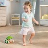 Hape: Pull Along Frog - Wooden Green Toy W/ Open & Close Mouth,1+ - 3 of 4
