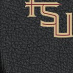 florida state seminoles