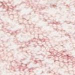 dark pink/ivory