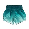 Fairtex BS1906 Green Fade Slim Cut Muay Thai Boxing Short - 2 of 4