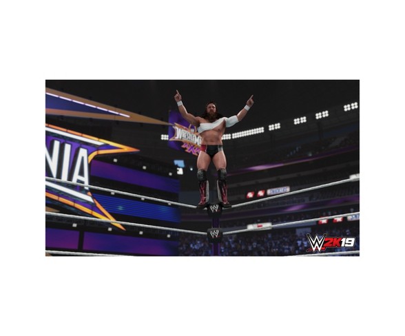 WWE 2K19: Wooooo! Edition - PlayStation 4