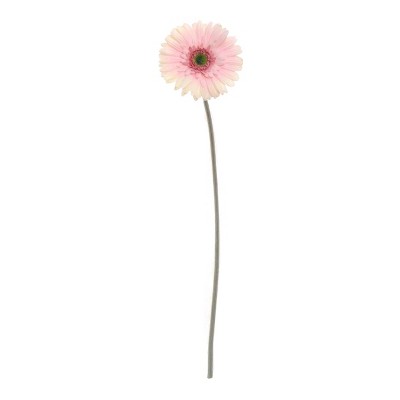 Floral Home 25" Cream Pink Gerbera - 24-Piece