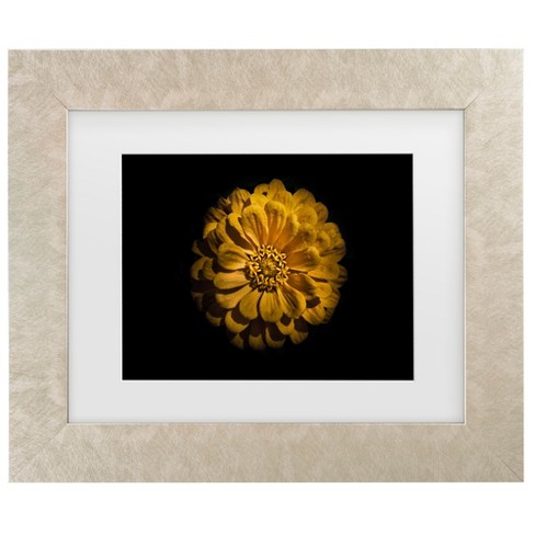 Trademark Fine Art - Brian Carson Backyard Flowers 58 Matted Framed Art - image 1 of 4