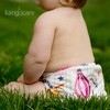 Kanga Care Rumparooz Reusable Cloth Diaper One Size Cover Snap - 2 of 4