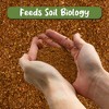 Soil Sunrise Dry Horticultural Molasses Powder, Indoor/Outdoor Gardening Soil Amendment for Plants - 4 of 4