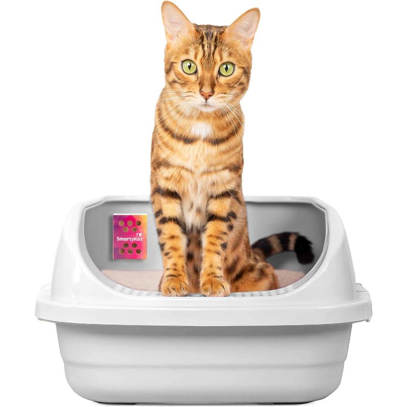 SmartyKat Odor Erase Cat Litter Absorber - 2pk, 4 of 10