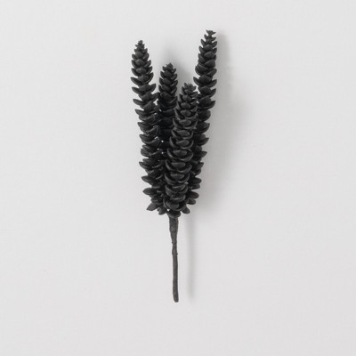 Sullivans Artificial Succulent Pick 10"H Black