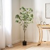 COWLOWN 59.1-inch Artificial Pieris Tree, Realistic Faux Potted Plant with Leaves for Home & Office Decor - 2 of 4