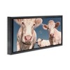 Stupell Industries Three White Cows, 31" x 14" - 3 of 4