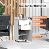 Karl Home Black Wooden Mobile Salon Trolley Cart with Wheels and 2 Drawers - 4 of 4