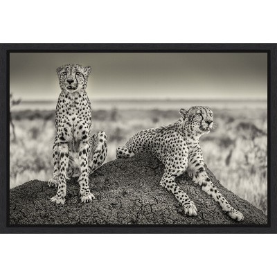 Amanti Art Two Cheetahs watching out by Henrike Scheid Canvas Wall Art Print Framed 23-in. x 16-in.