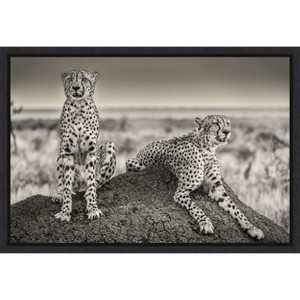 Amanti Art Two Cheetahs watching out by Henrike Scheid Canvas Wall Art Print Framed 23-in. x 16-in. - 1 of 4