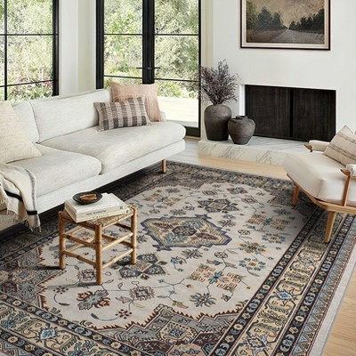Modern Washable Area Rug for Living Room, Soft Floor Rug with Non Slip Backing, Low Pile Stain Resistant Indoor Carpet for Home Office