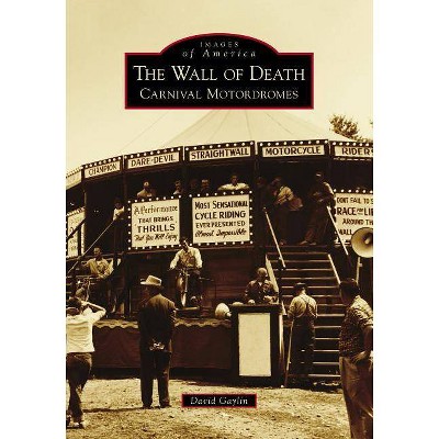 The Wall of Death - by  David Gaylin (Paperback)