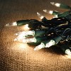 Joyfy 2×50 Count LED Christmas String Lights, 31.4FT Battery Operated Christmas Light with 8 Modes, Green Wire Tree Lights for Christmas Decoration - 2 of 4