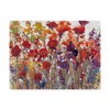 Trademark Fine Art -Tim Otoole 'Variety Of Flowers I' Canvas Art - 2 of 4