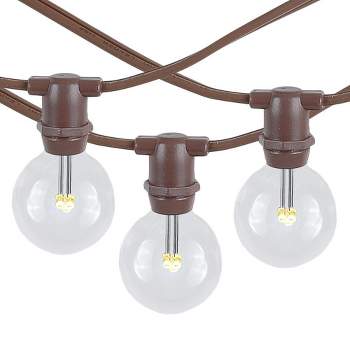 Novelty Lights Globe Outdoor String Lights with 25 Bulbs G30 Vintage Bulbs Brown Wire 25 Feet