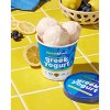 Sweetkiwi Frozen Greek Yogurt Lemon Blueberry - 14oz - 2 of 3