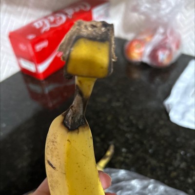 Guest review image 3 of 3, zoom in