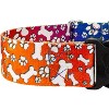 Country Brook Petz HossFit Jr Wide Martingale with Deluxe Buckle - Groovy Collection (Trippy Doggo, Large) - 4 of 4