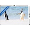 Trends International The Comedy Wildlife Photography Awards: Jennifer Hadley - Talk To The Fin Unframed Wall Poster Prints - 3 of 4