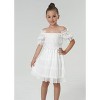 2Bunnies Girls' Vintage Ruffle Puff Sleeve Mesh Tulle Dress On and Off Shoulder - 2 of 4