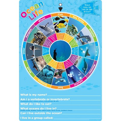 Ashley Productions Smart Poly Smart Wheels