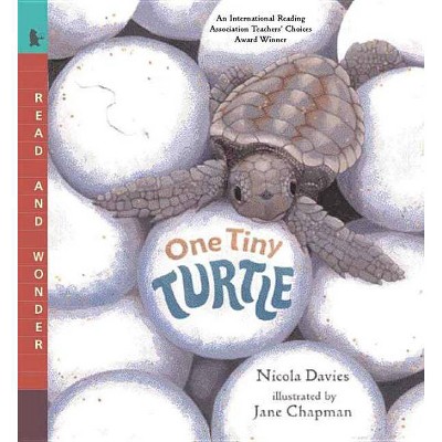 One Tiny Turtle - (Read and Wonder) by  Nicola Davies (Paperback)