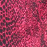 pink vertical animal