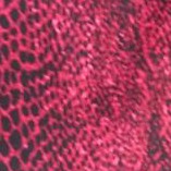 pink vertical animal